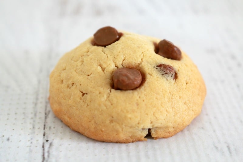 A close up of a pale golden cookie dotted with chocolate chips