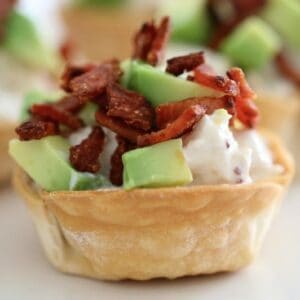 Creamy Chicken Wonton Cups with Bacon & Avocado