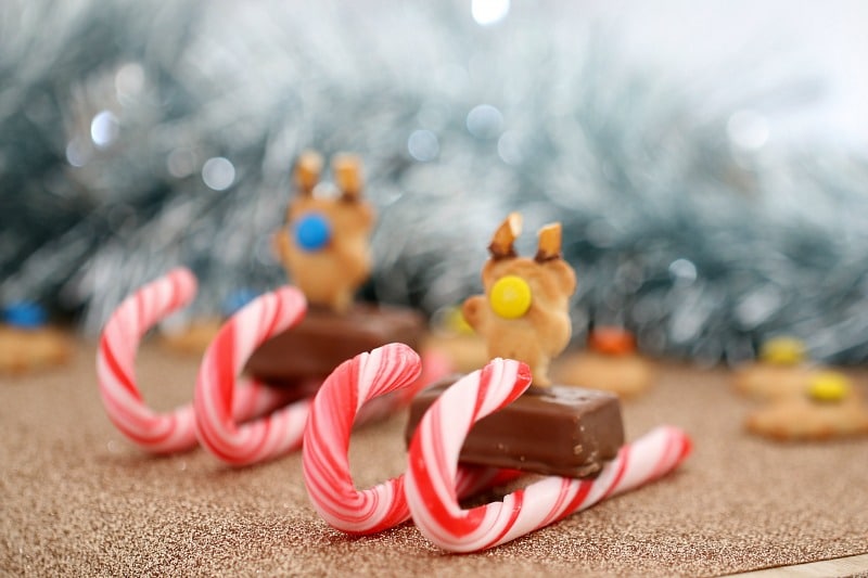 Tiny Teddy Christmas Candy Cane Sleighs Bake Play Smile