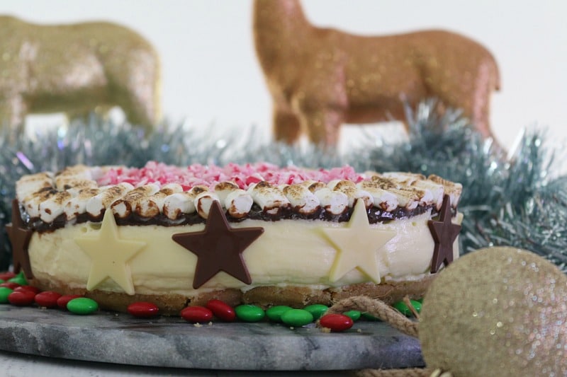 A S'mores Christmas Cheesecake with Christmas decorations