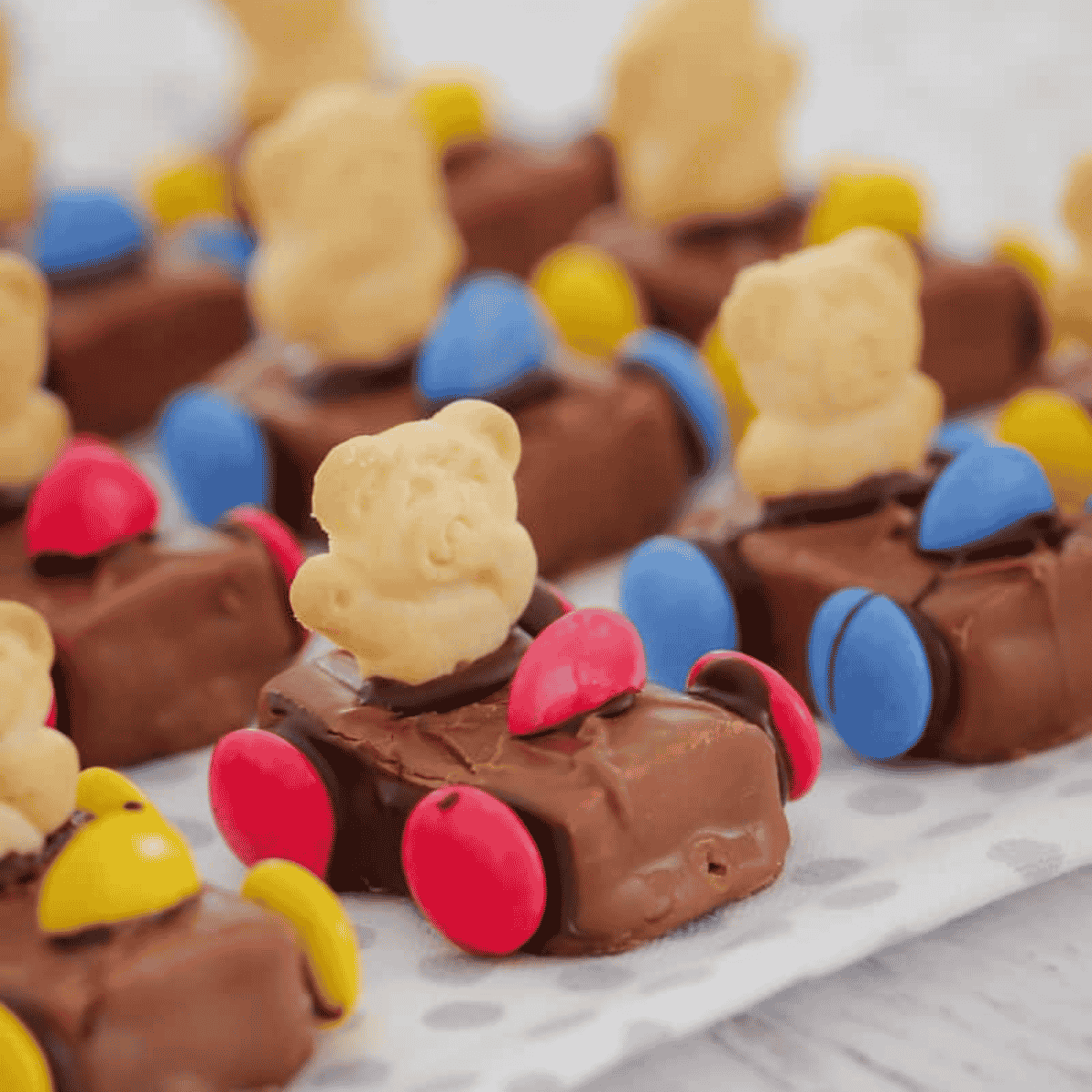 Tiny Teddy racing cars in lines.