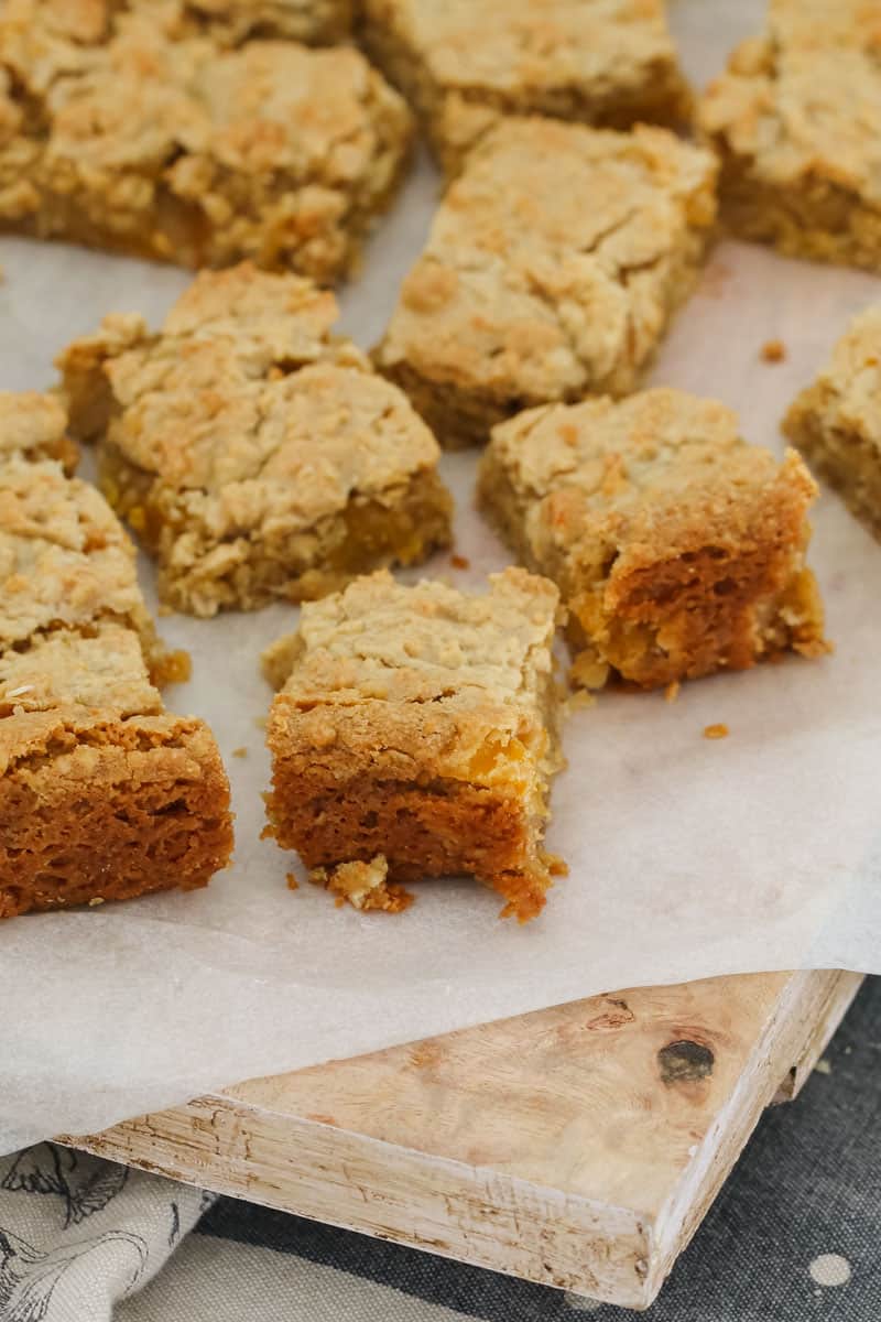 Apricot Oat Slice Bake Play Smile coconut-apricot-slice-recipe-old-skool-recipes