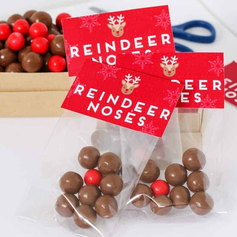 Reindeer Noses Free Christmas Printable Gift Bag Bake Play Smile