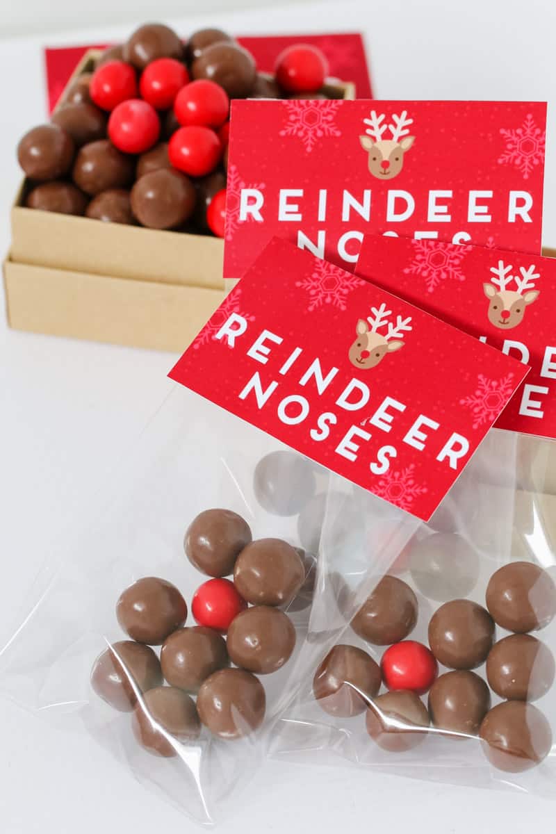 Red Christmas labels with Reindeer Noses printed on them stapled onto clear bags with chocolate inside. 