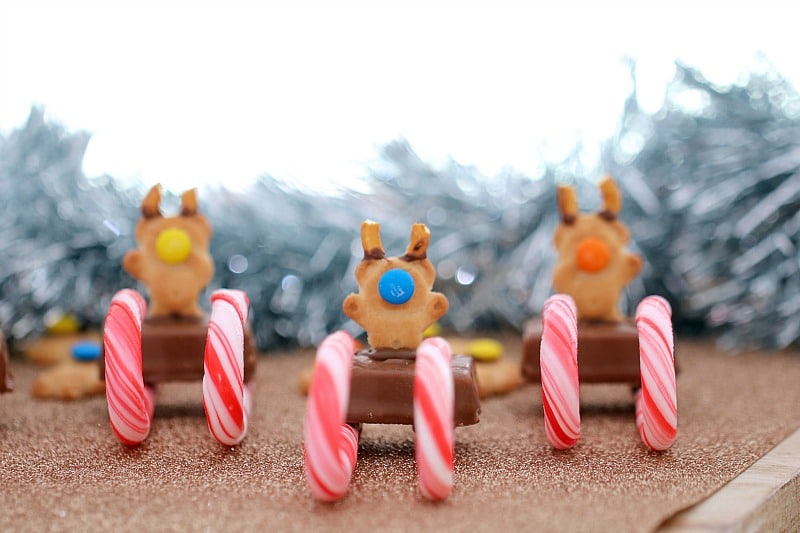 Three edible cane sleighs made with Tiny Teddy biscuits and candy canes