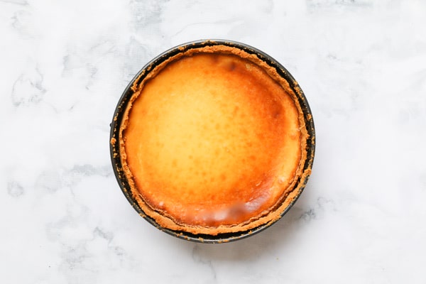 A baked cheesecake out of the oven. 