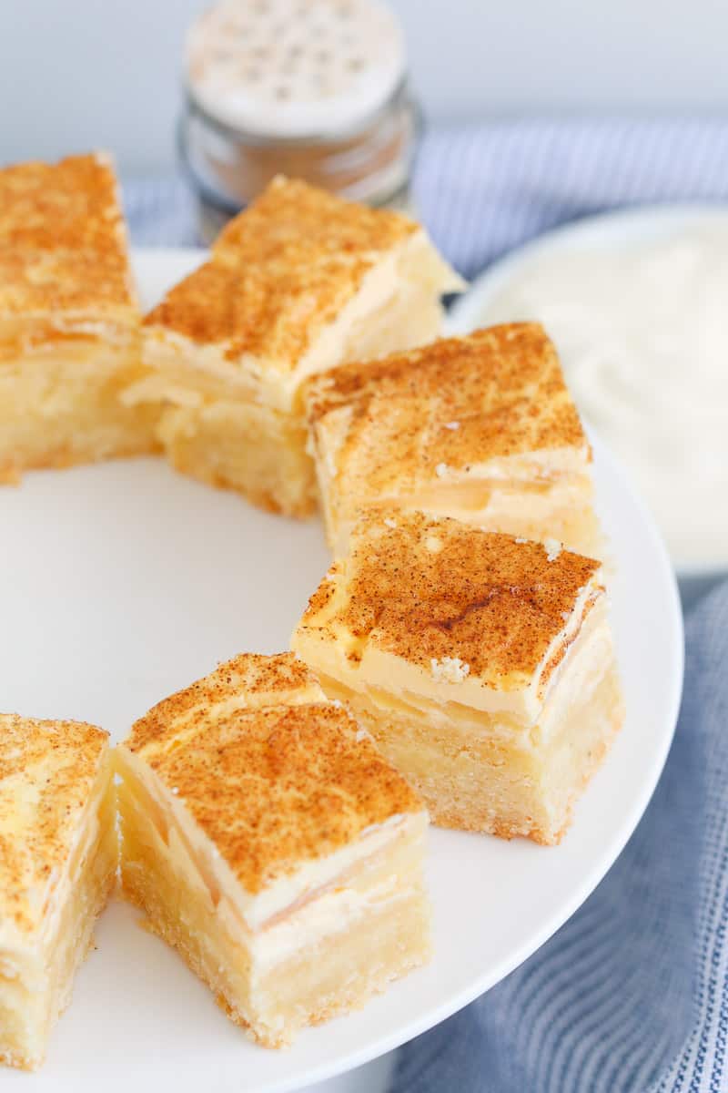 Cinnamon sprinkled over the top of pieces of apple and sour cream slice. 