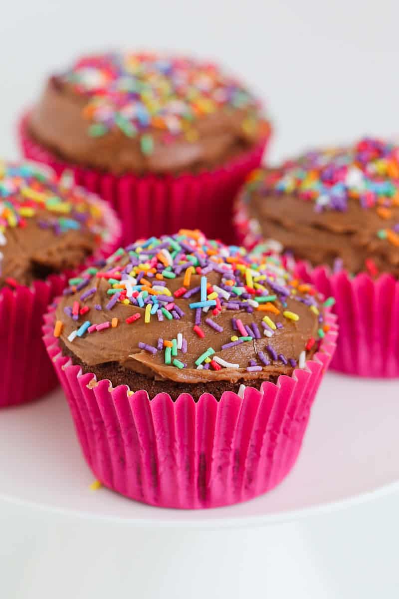 Chocolate cupcakes with icing and sprinkles.