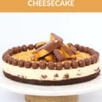 A round cheesecake with a chocolate biscuit base and chocolate honeycomb and malted milk balls.
