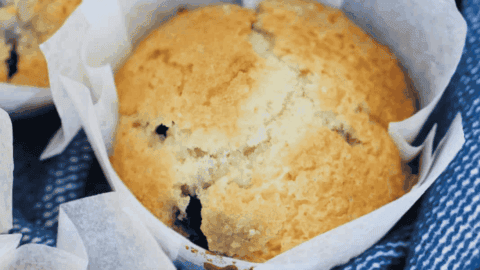 A sugar-topped muffin with blueberries mixed throughout.