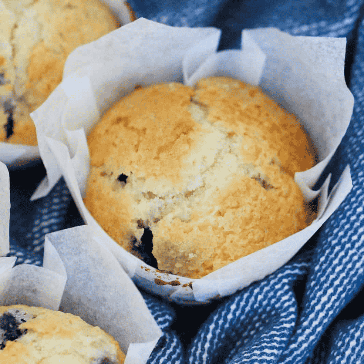 A sugar-topped muffin with blueberries mixed throughout.