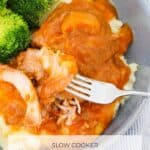 A blue bowl filled with mashed potato, broccoli and tender apricot chicken.