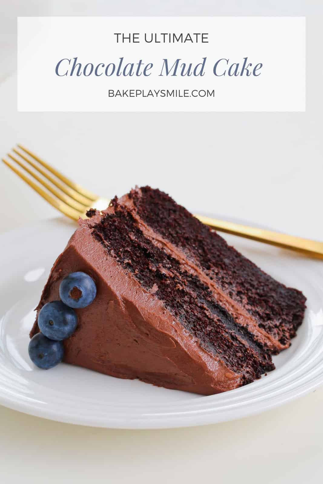 A slice of rich mud cake with chocolate frosting and blueberries on a white plate.