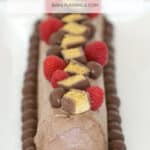A long rectangular log of chocolate ripple cake decorated with chocolate whipped cream, raspberries and chocolates.