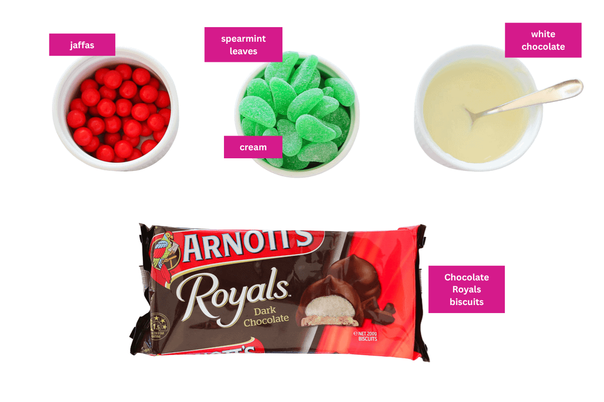 Jaffas, spearmint leaves, white chocolate and Royals biscuits laid out on a white background.