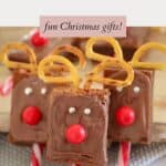 Decorated reindeer brownies with a Jaffa nose, silver cashous eyes, pretzels for antlers, and held up with a candy cane.