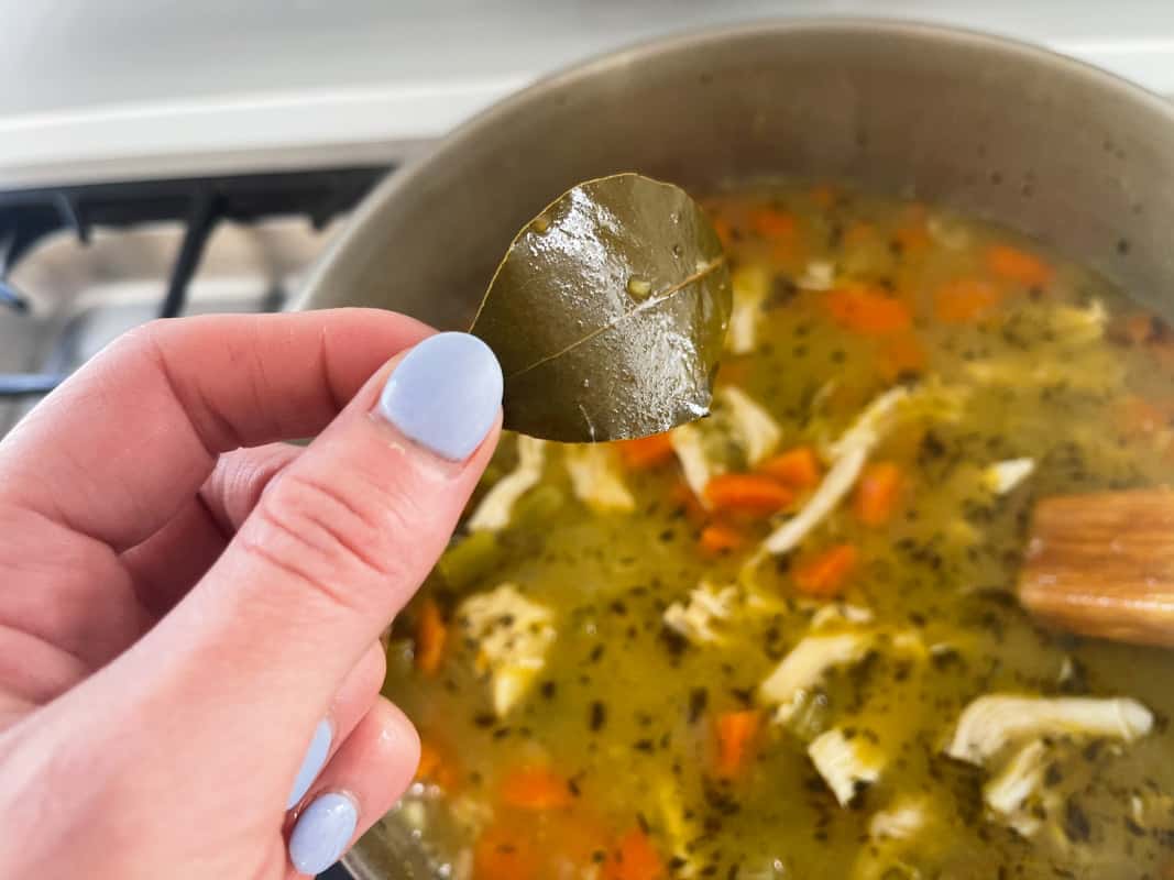 A bay leaf removed from a slightly blurred pot of chicken and vegetable soup in the background