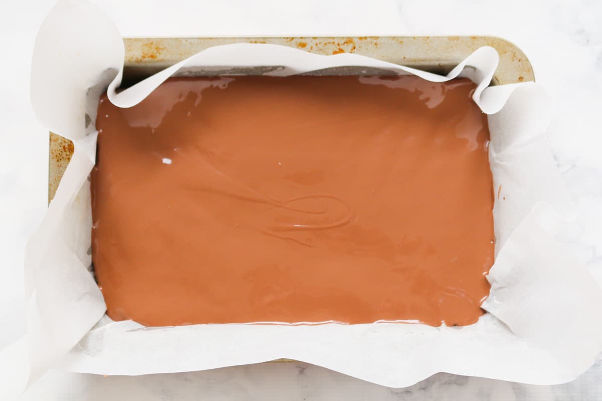 Slab of chocolate topped slice in a rectangular baking tin.