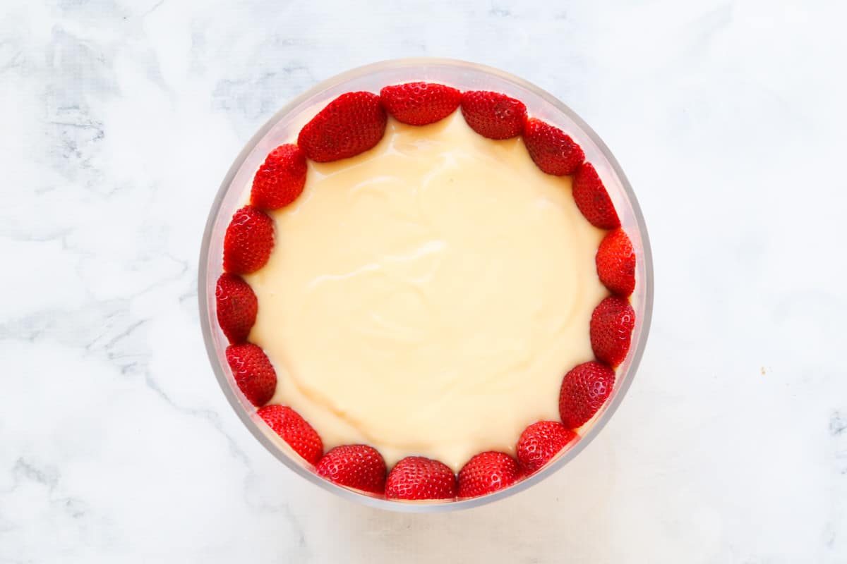 Strawberries around the edge of a bowl on top of a layer of custard.