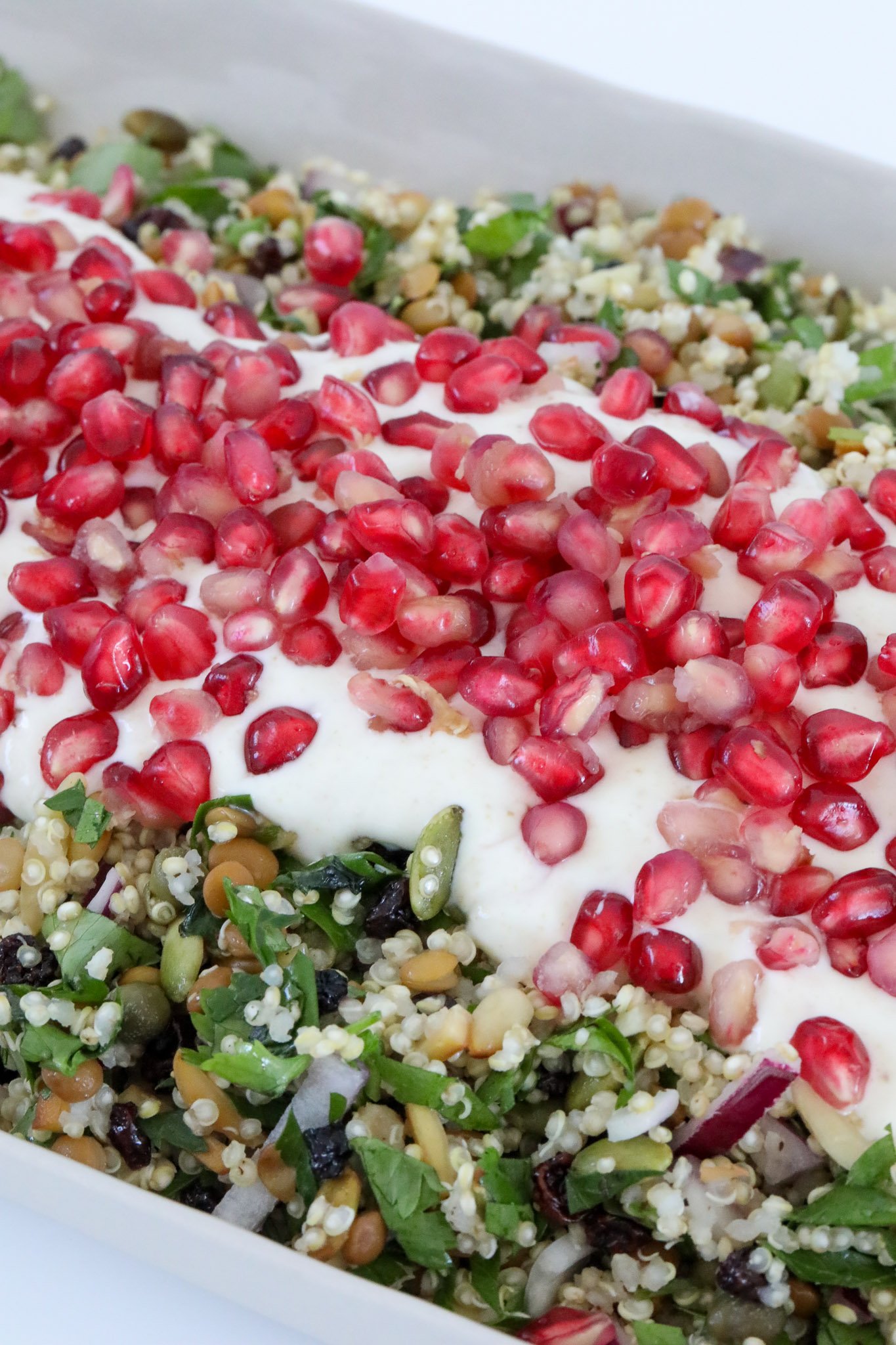 A close up shot of a nuts, seeds and grain salad topped with yoghurt and pomegranates.