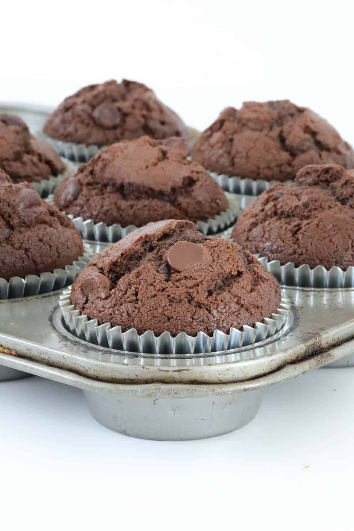 Baked chocolate chip muffins in a muffin tray