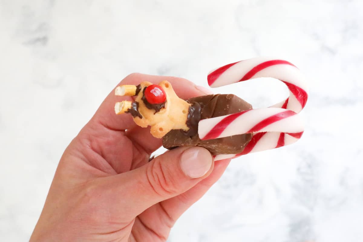 Candy canes become edible sleighs.