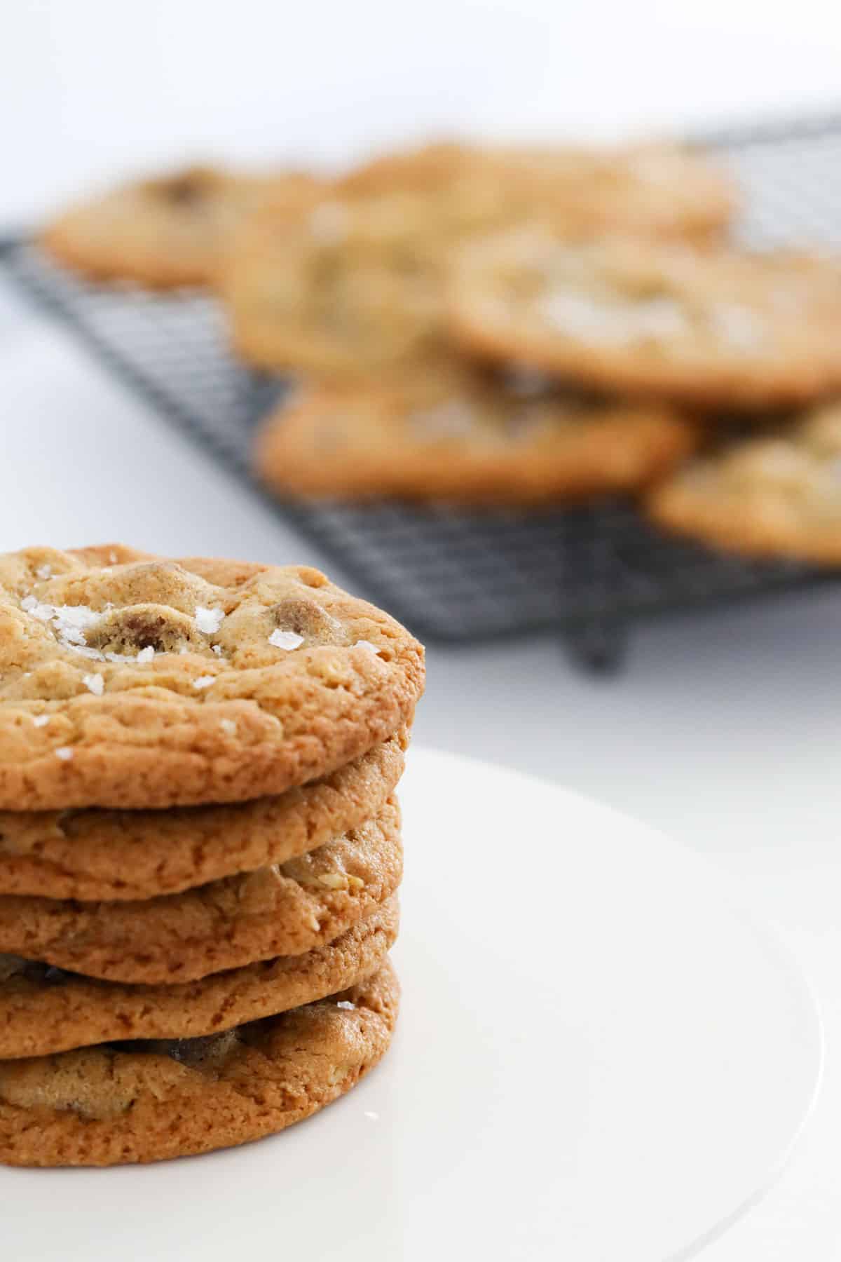 A stack of chewy chocolate chip oat cookies with more on a tray in the background.