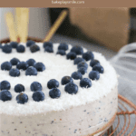 A white choclate and blueberry cheesecake decorated with fresh blueberries on a copper tray.
