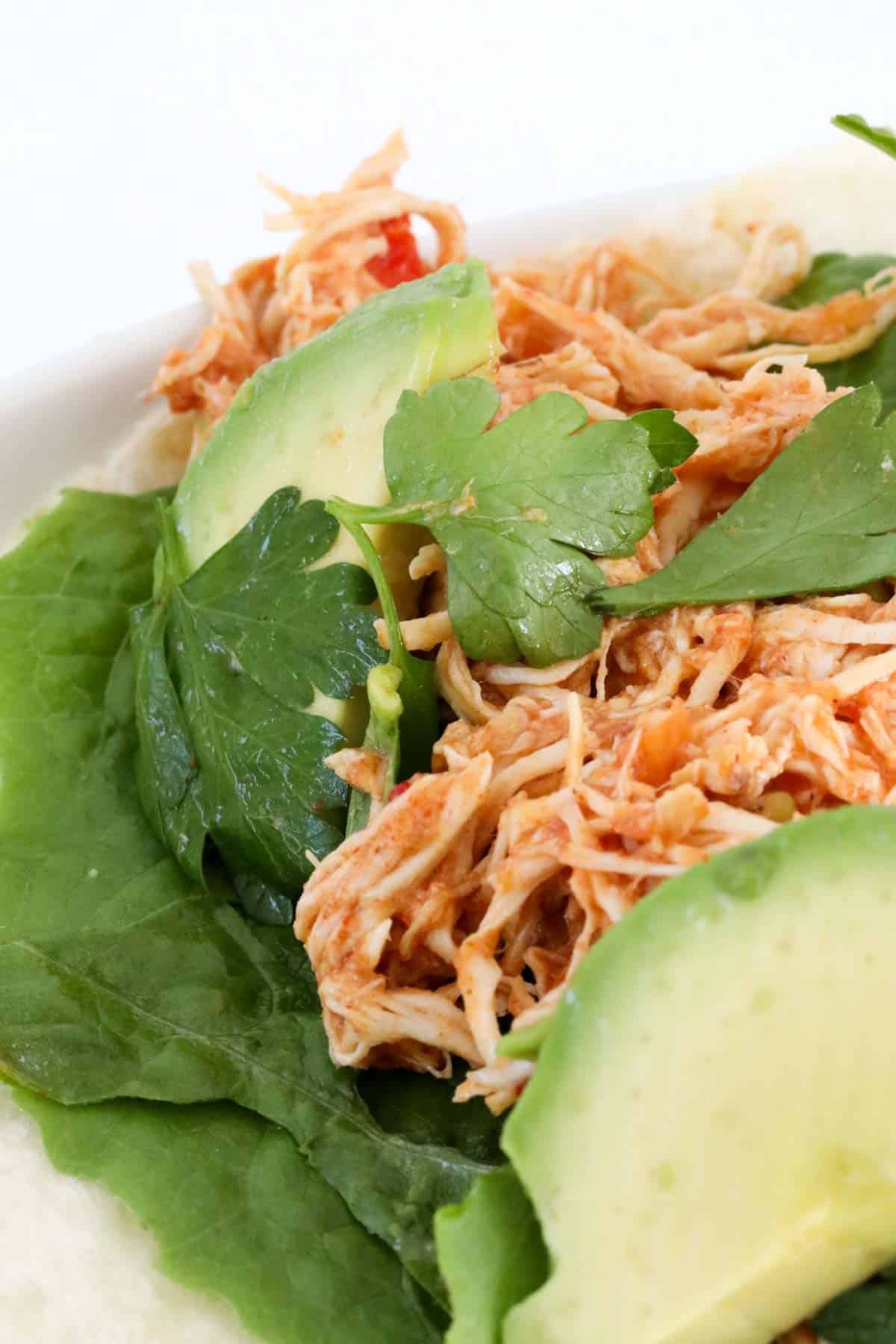Mexican shredded chicken with parsley leaves and sliced avocado on top.