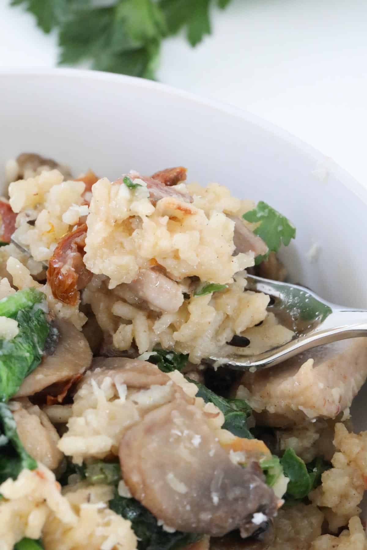 A close up image of a bowl of chicken and mushroom risotto with a fork