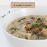 A bowl of hearty soup filled with pieces of chicken and sliced mushrooms, with a sprinkle of parsley on top.