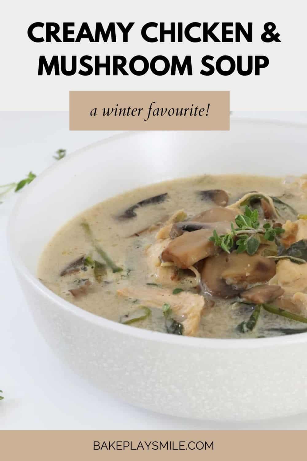 https://bakeplaysmile.com/wp-content/uploads/2022/05/Creamy-Chicken-and-Mushroom-Soup.jpg