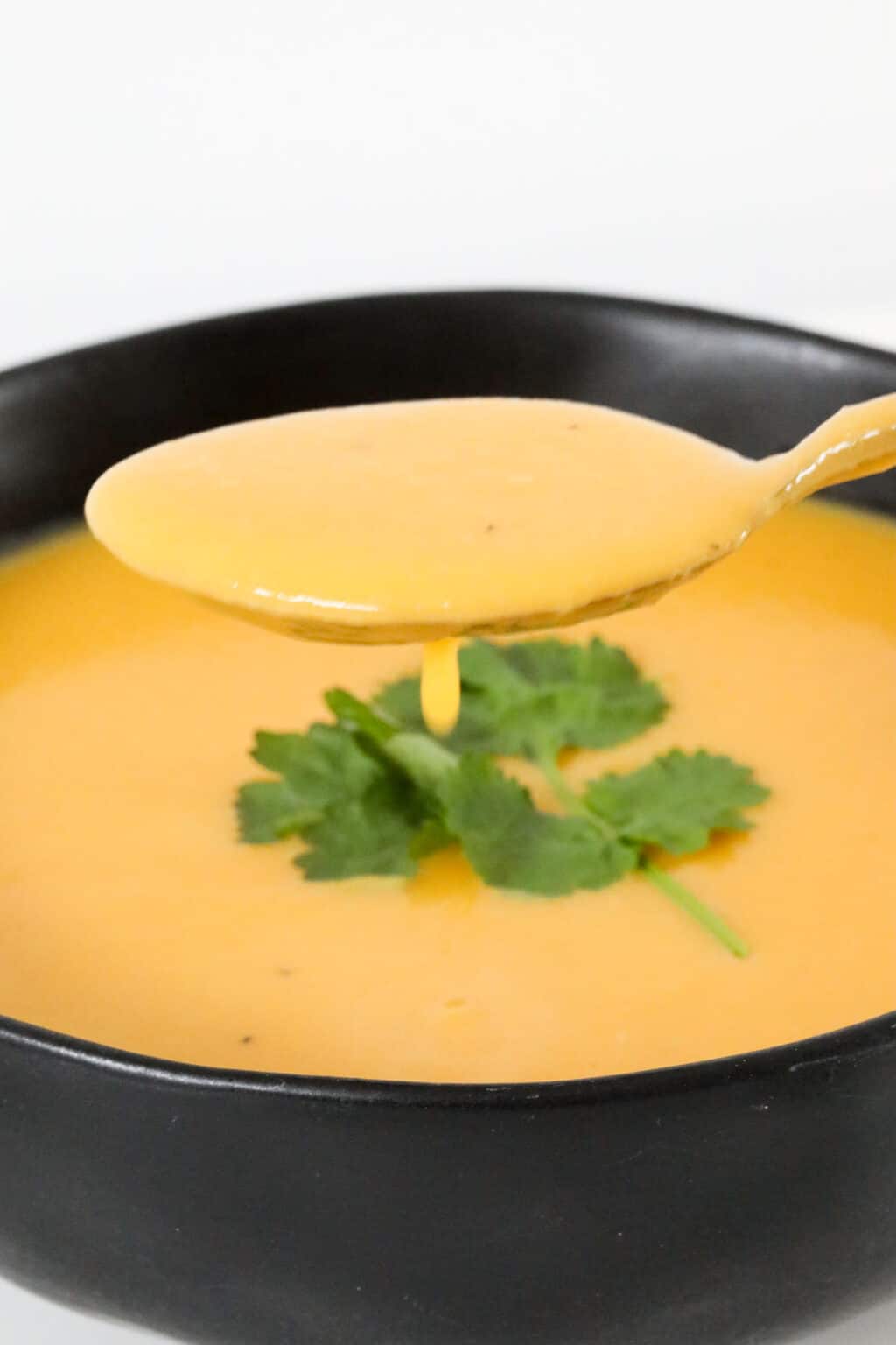 The BEST EVER Thermomix Pumpkin Soup Bake Play Smile
