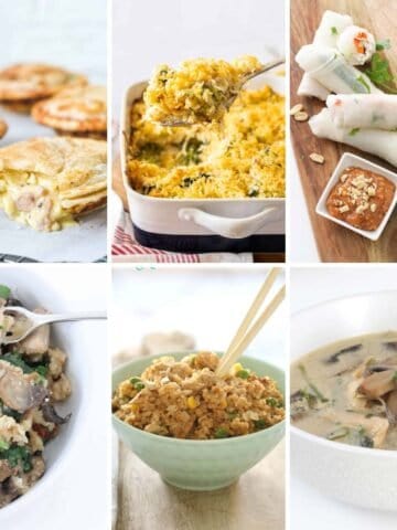 A collage of savoury dishes using leftover BBQ chicken.