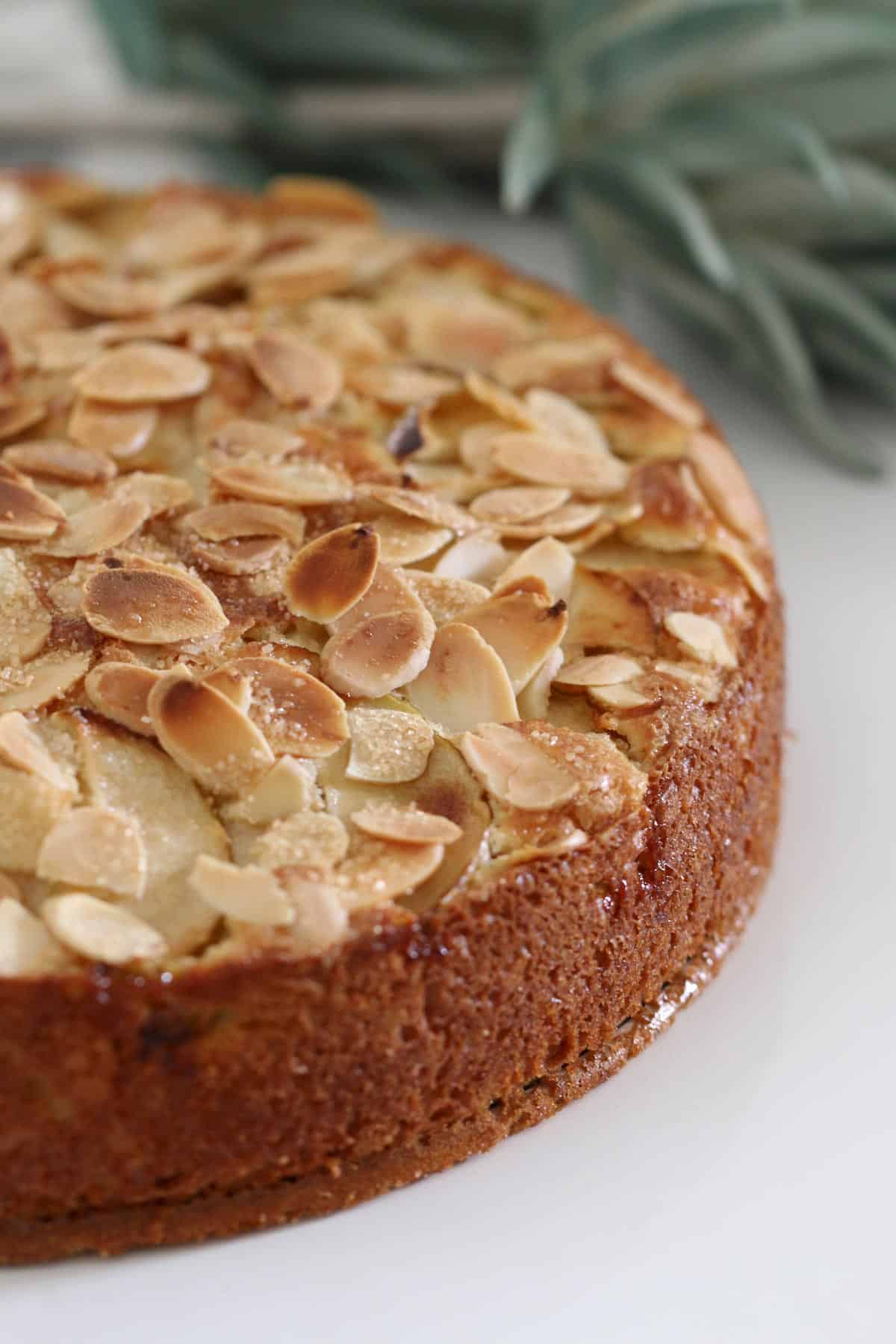 Golden flaked almonds on top of a baked cake.