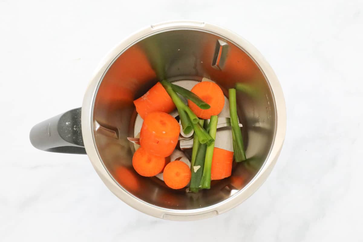 Carrot and spring onions in a stainless jug.