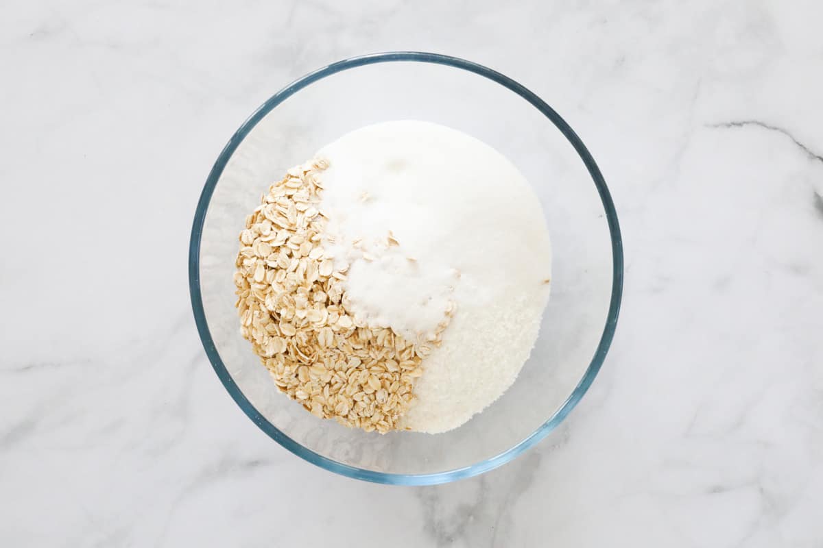 Oats, sugar and coconut in a bowl.