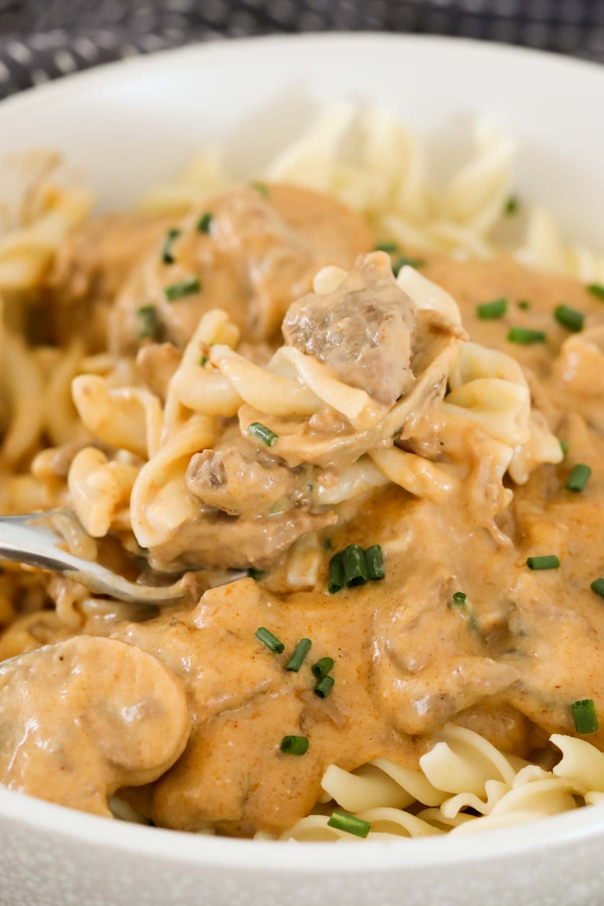 A close up of a spoonful of beef stroganoff.