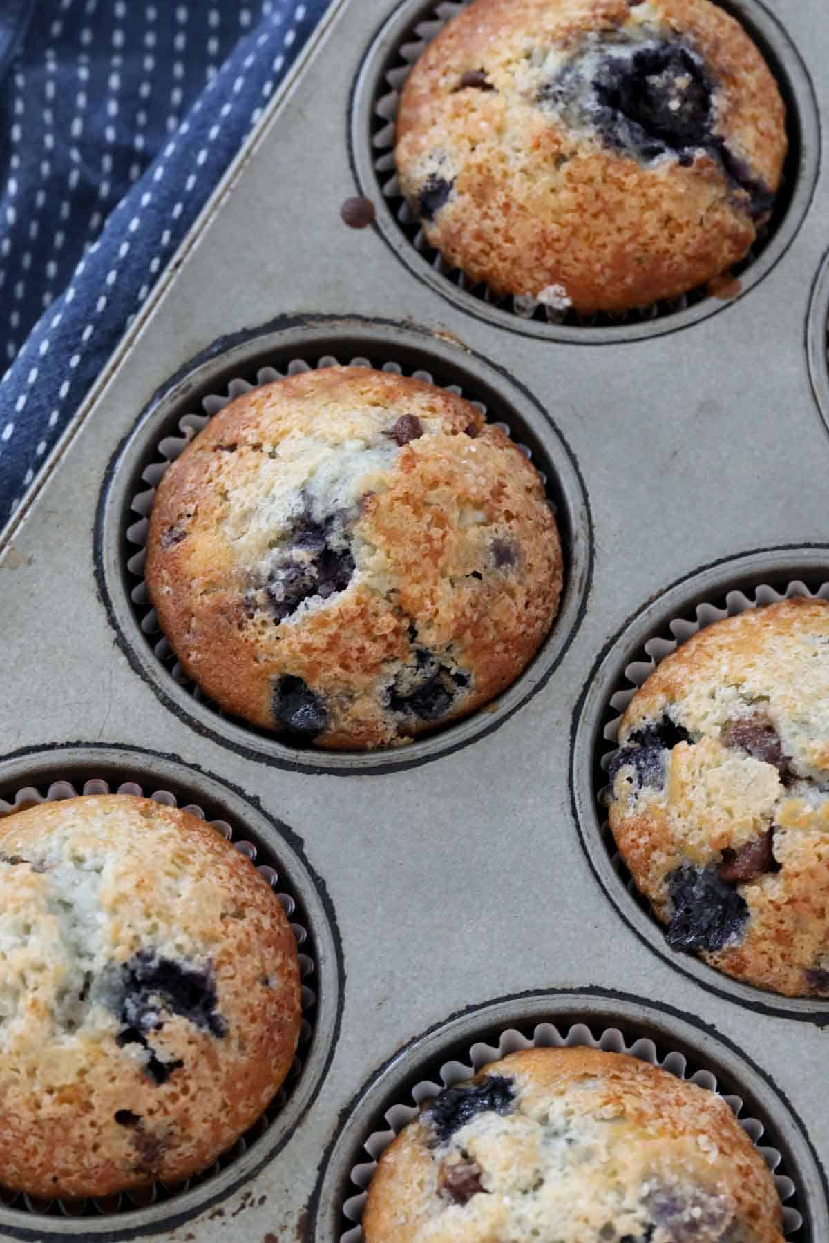 An overhead shot of chocolate chip muffins with blueberries in a muffin tray.