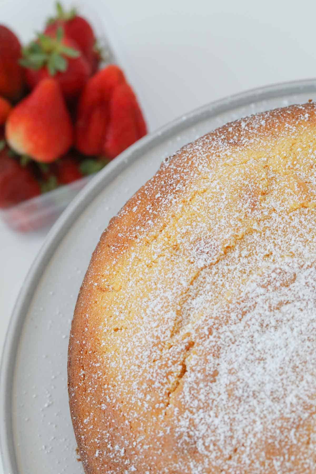 Close up of baked custard cake dusted with icing sugar.