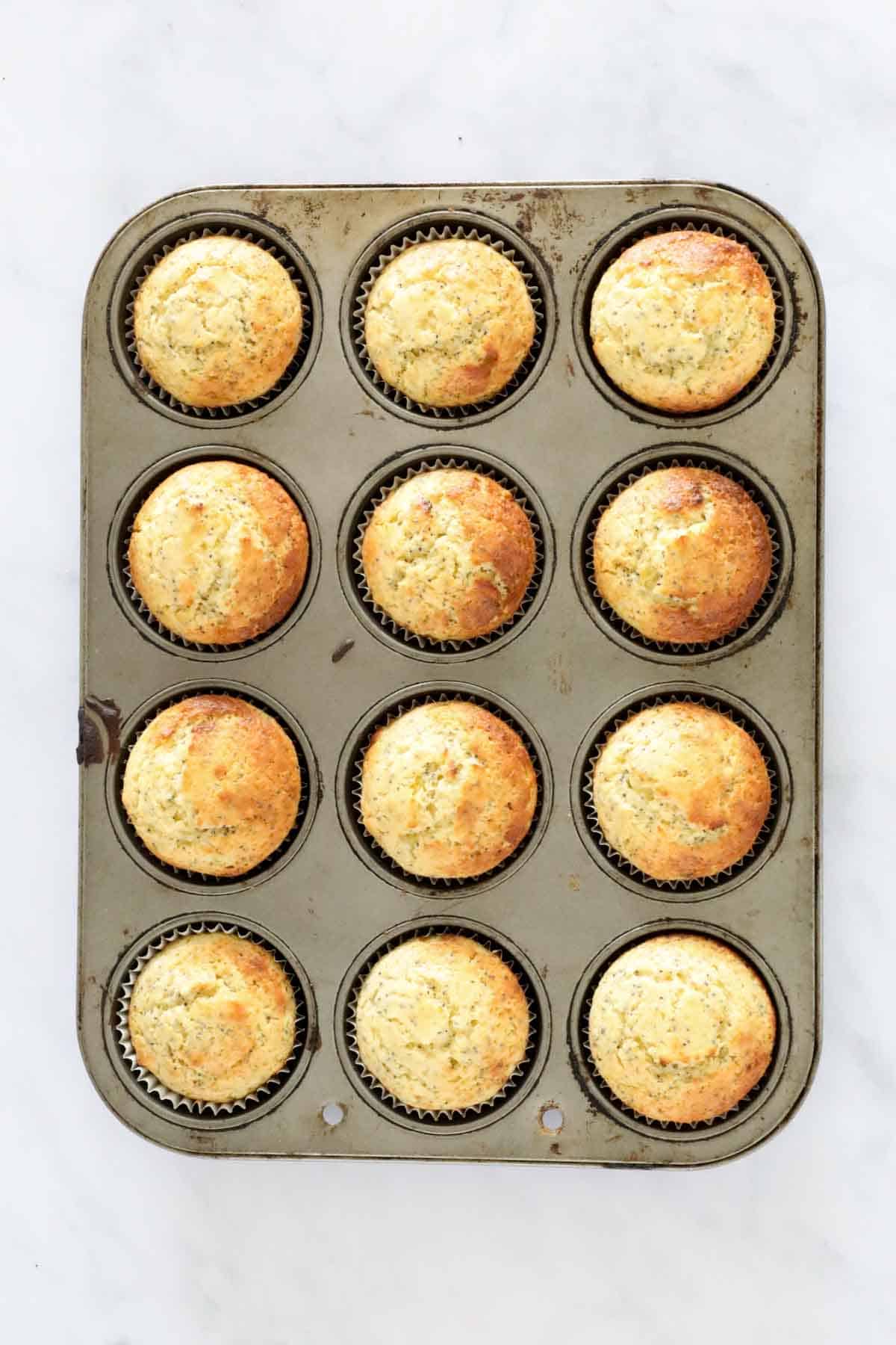 Freshly baked un-iced lemon and poppyseed muffins in a muffin baking tin.