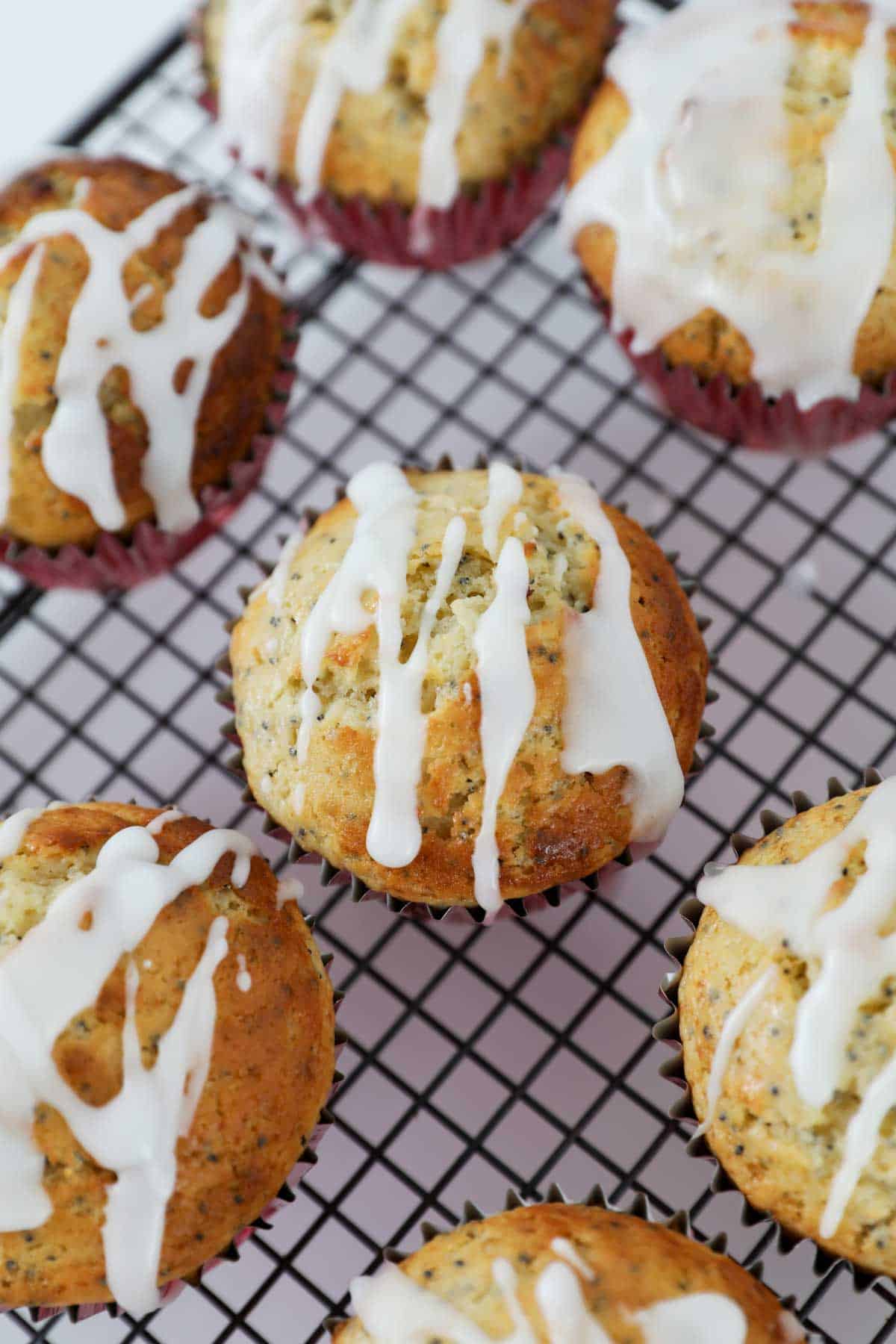 Lemon poppy seeds muffins on wire cooling rack drizzled with lemon icing.