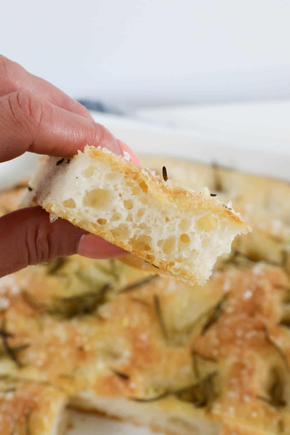 A hand holding a piece of focaccia bread with lots of holes inside.
