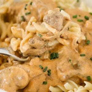 A bowl of creamy beef and mushroom stroganoff, served over egg noodles.