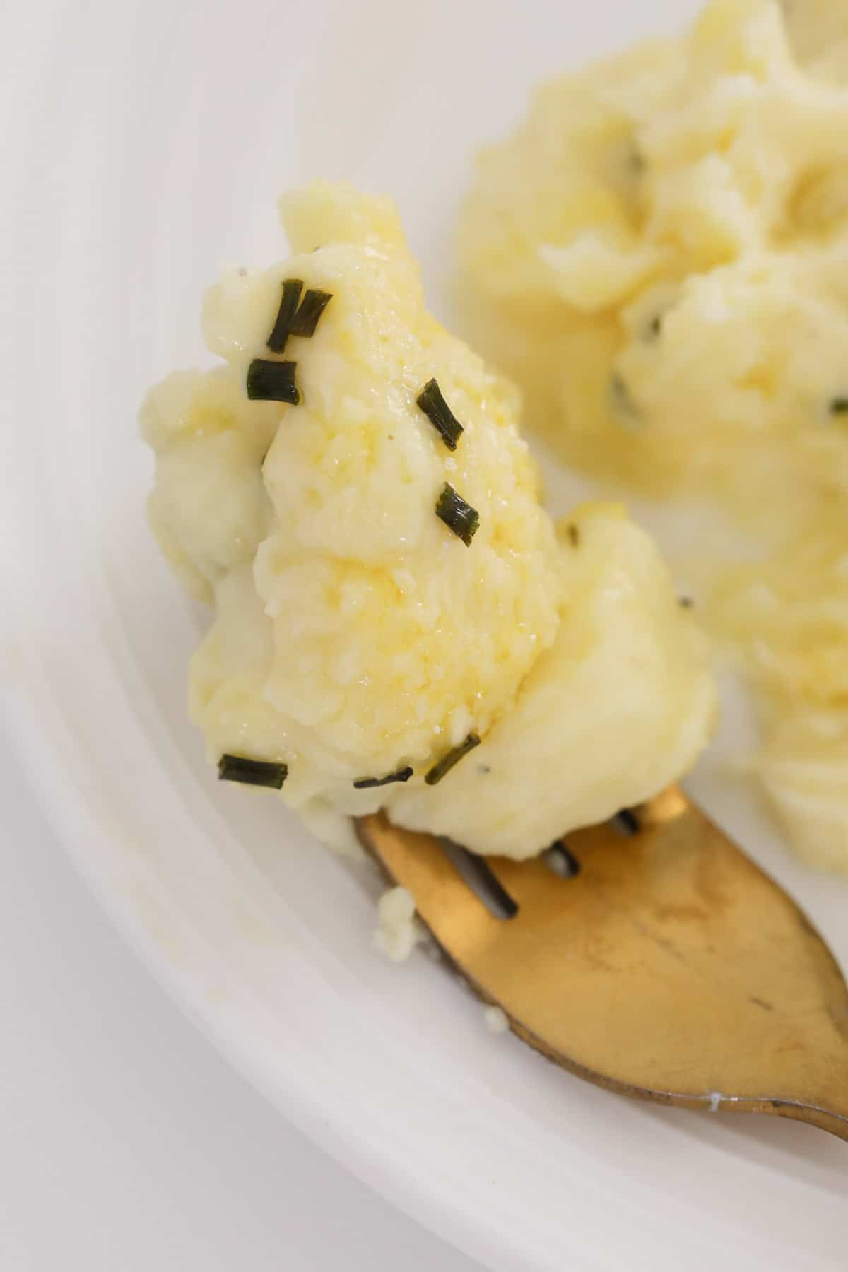 A dollop of cheesy mashed potatoes on a fork.