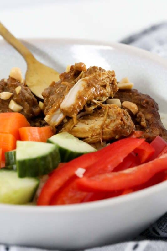 KidFriendly Creamy Slow Cooker Satay Chicken Bake Play Smile