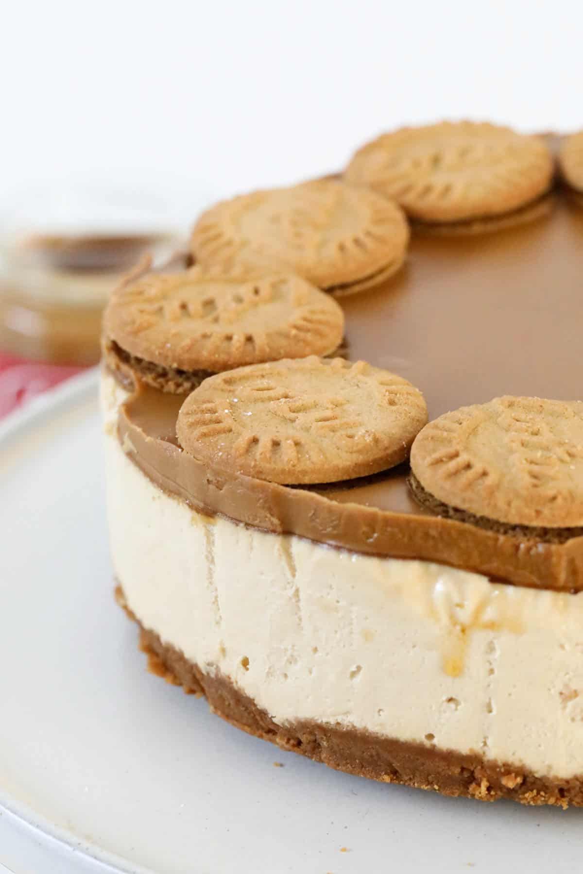 A close up of a cheesecake decorated with biscuits.