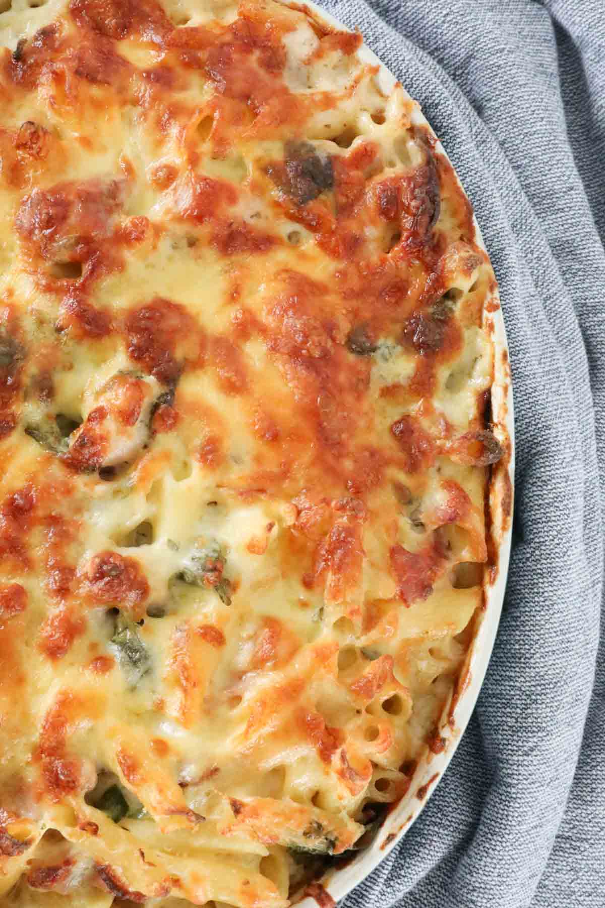 Crispy golden cheese melted over the top of a chicken pasta bake.