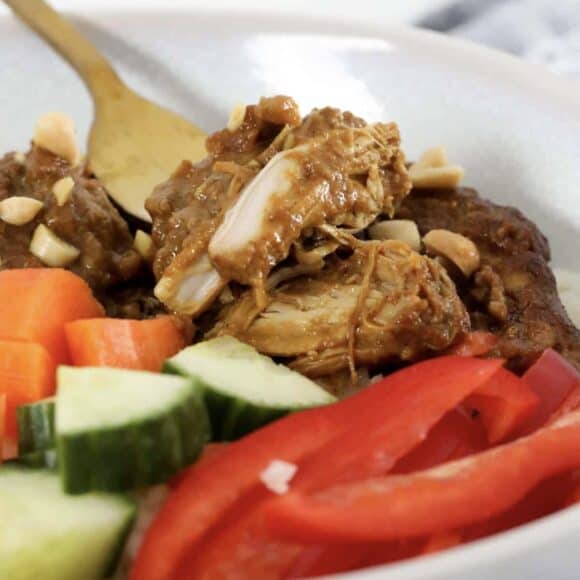 Slow Cooker Satay Chicken
