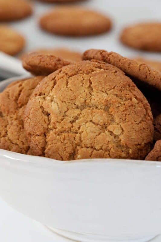 Old Fashioned Crunchy Ginger Nuts Bake Play Smile